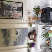 Shepherd's Hut Studios