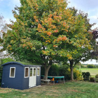 Shepherd's Hut Studios