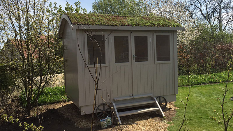 The Fuchsia Shepherd's Hut